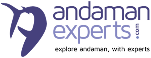 591d3e4b90279131_logo.png's Logo"